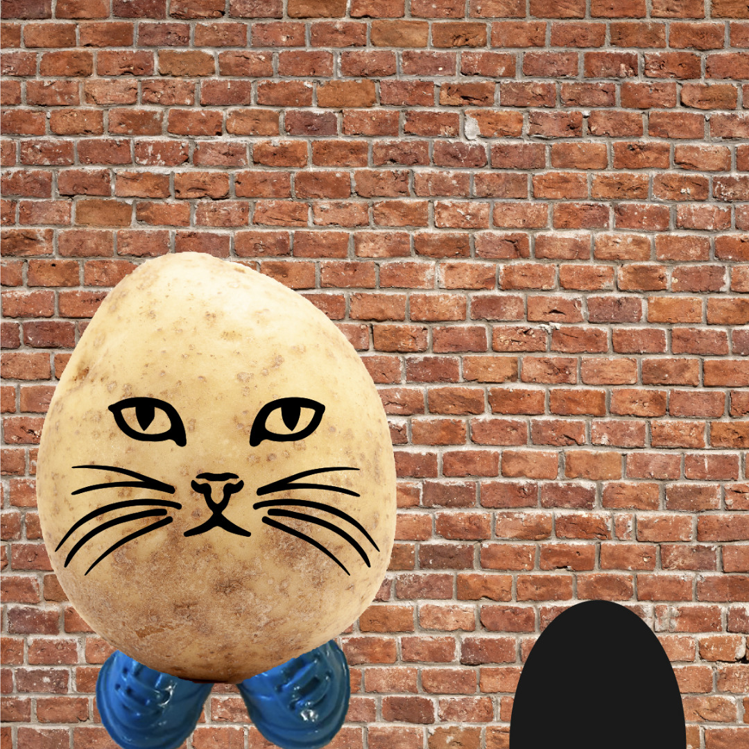 Potato Head-100.jpg